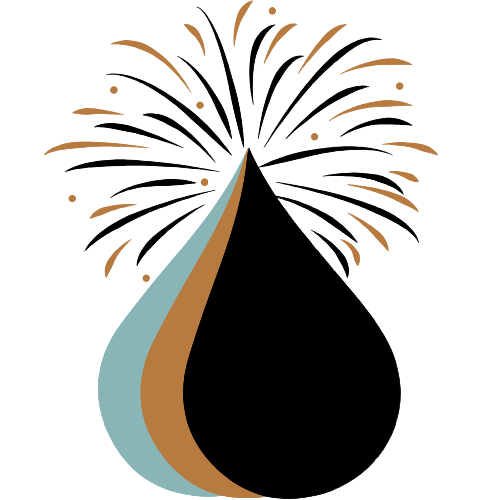 Vision Doula Consulting